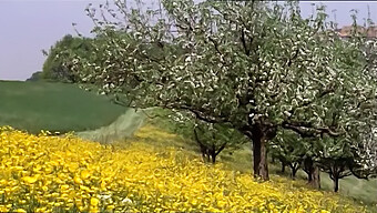 Film Vintage Del 1977 Con Giovani Ragazze Che Esplorano La Loro Sessualità