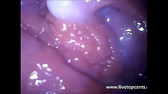 Vagina Close-Up Of A Girl'S Orgasm Caught On Camera