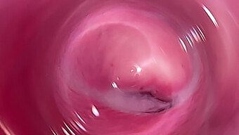 Intimate View Of My Moist And White Pussy From Inside