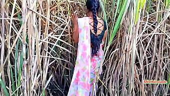 Outdoor Sex With A Mature Indian Neighbor In A Sugarcane Plantation