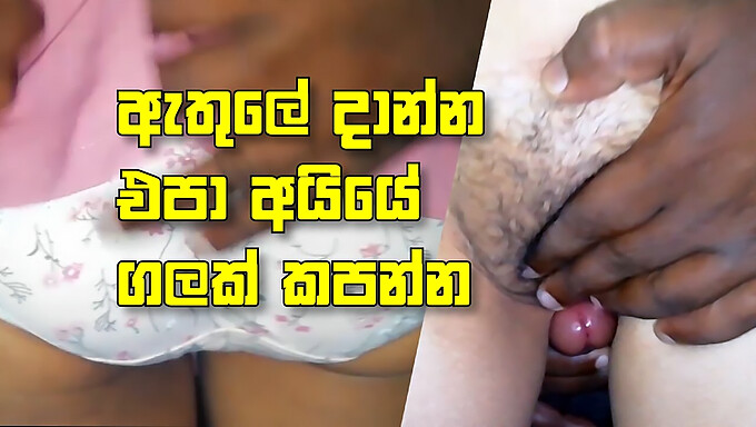 Moglie Amante Dello Sri Lanka Gode Di Footjob E Leccate Di Figa